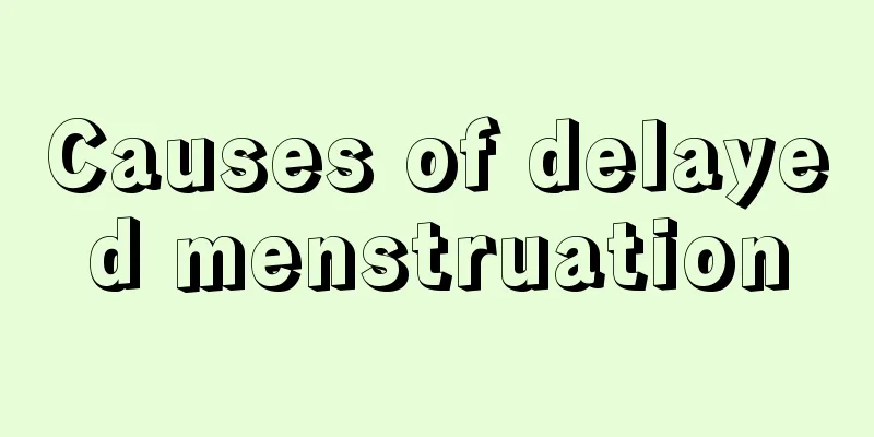 Causes of delayed menstruation