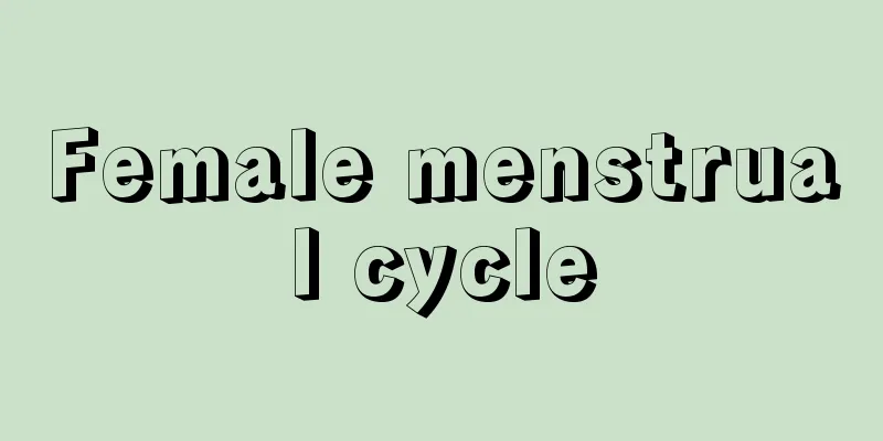 Female menstrual cycle