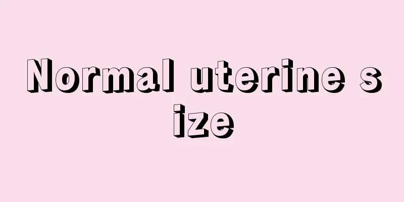 Normal uterine size