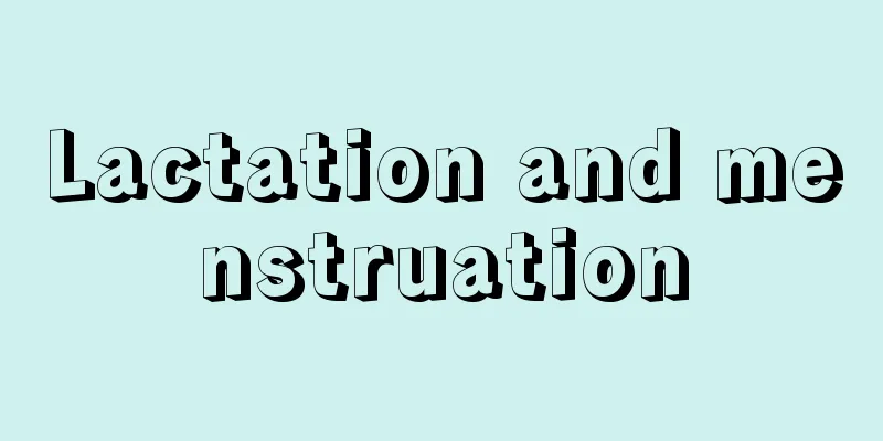 Lactation and menstruation