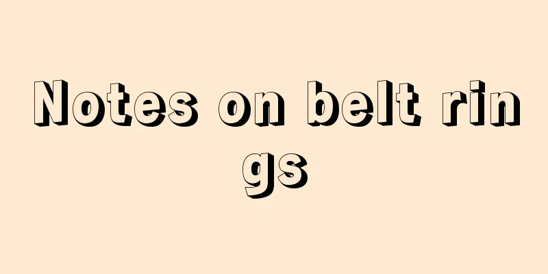 Notes on belt rings