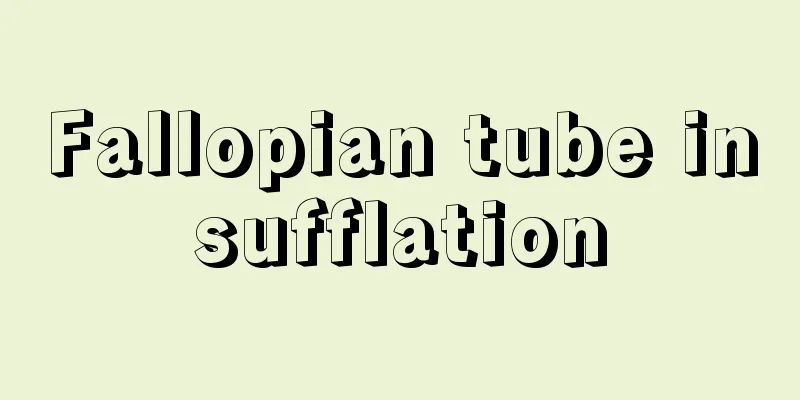 Fallopian tube insufflation