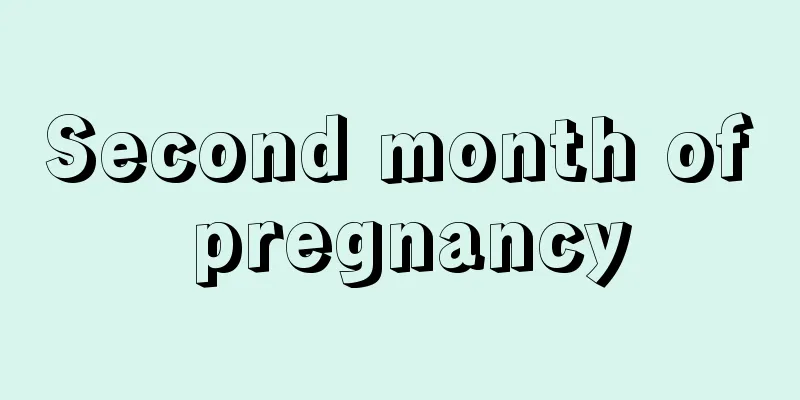 Second month of pregnancy