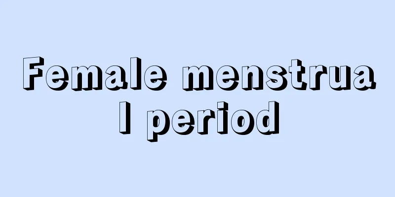 Female menstrual period