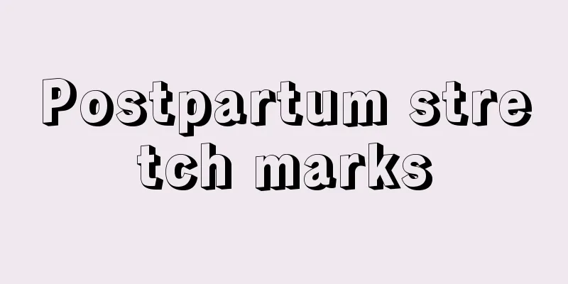 Postpartum stretch marks