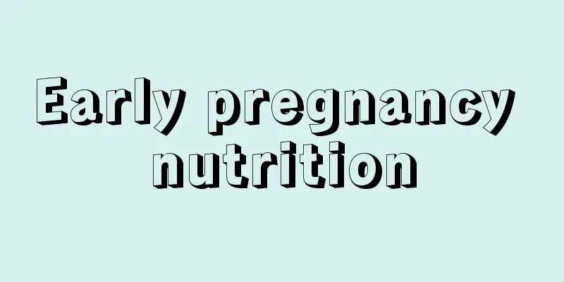 Early pregnancy nutrition