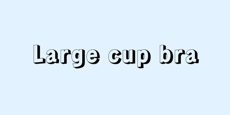 Large cup bra