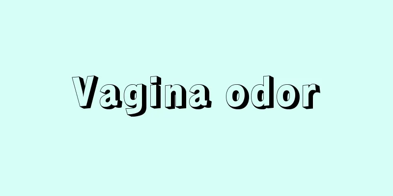 Vagina odor