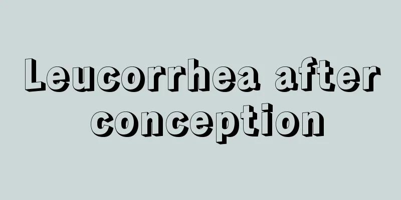 Leucorrhea after conception