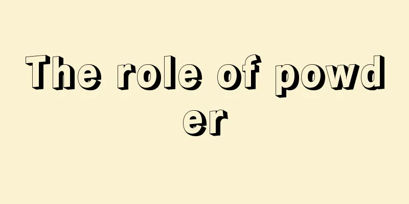 The role of powder