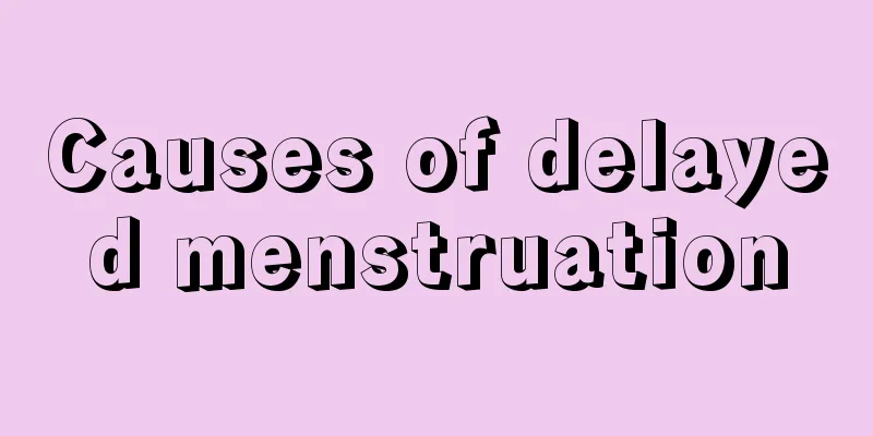 Causes of delayed menstruation