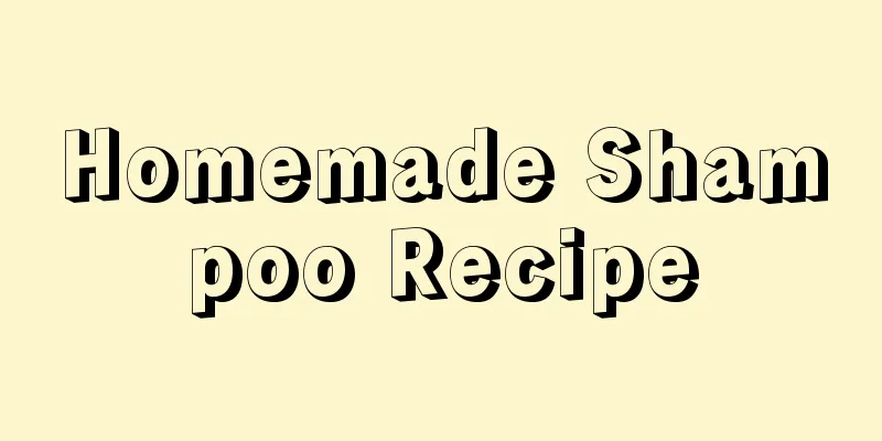 Homemade Shampoo Recipe