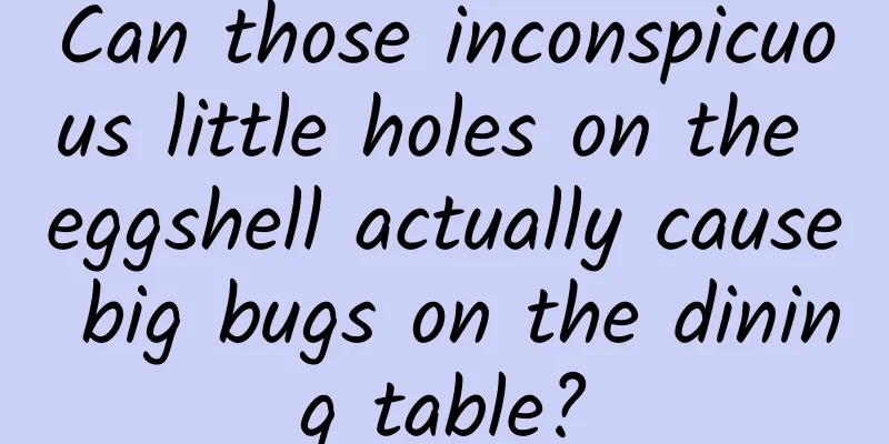 Can those inconspicuous little holes on the eggshell actually cause big bugs on the dining table?