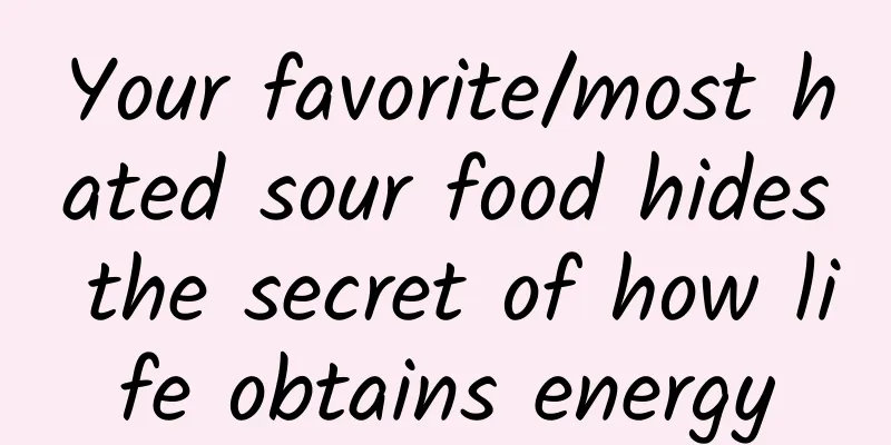 Your favorite/most hated sour food hides the secret of how life obtains energy