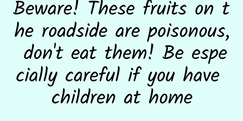 Beware! These fruits on the roadside are poisonous, don't eat them! Be especially careful if you have children at home