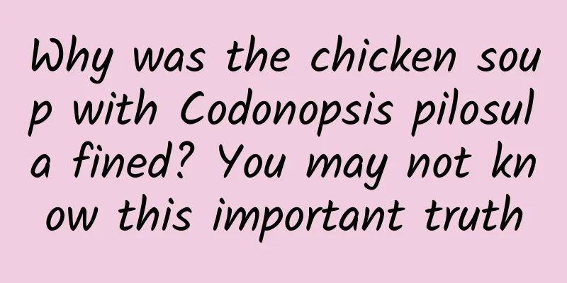 Why was the chicken soup with Codonopsis pilosula fined? You may not know this important truth