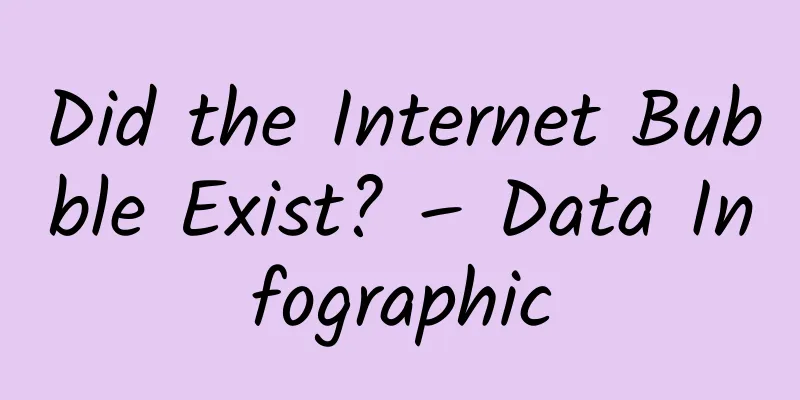 Did the Internet Bubble Exist? – Data Infographic