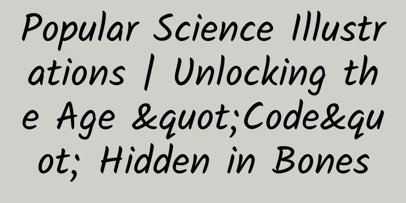 Popular Science Illustrations | Unlocking the Age "Code" Hidden in Bones