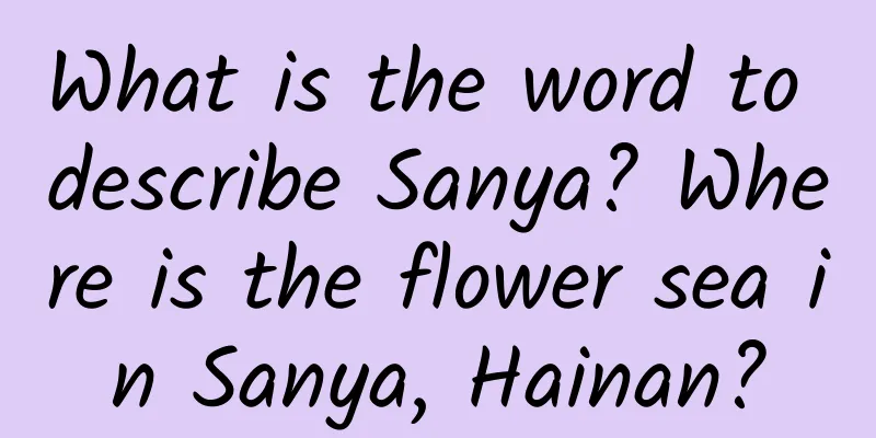 What is the word to describe Sanya? Where is the flower sea in Sanya, Hainan?