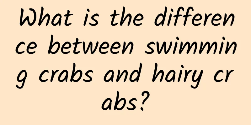What is the difference between swimming crabs and hairy crabs?