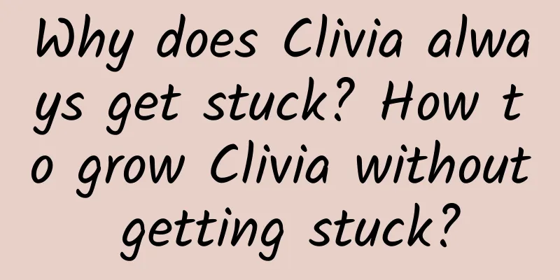 Why does Clivia always get stuck? How to grow Clivia without getting stuck?