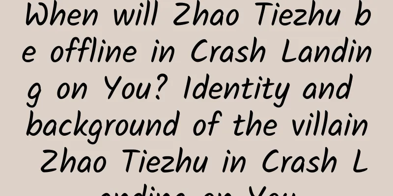 When will Zhao Tiezhu be offline in Crash Landing on You? Identity and background of the villain Zhao Tiezhu in Crash Landing on You