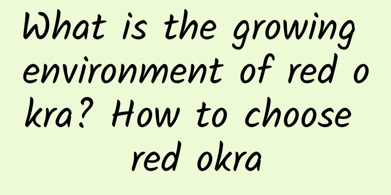 What is the growing environment of red okra? How to choose red okra