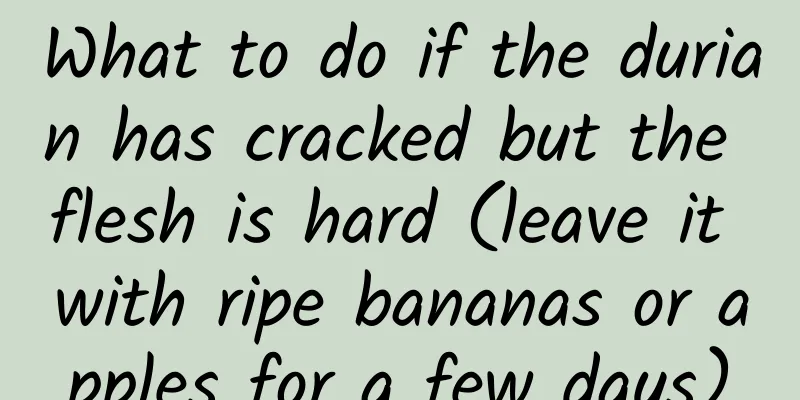 What to do if the durian has cracked but the flesh is hard (leave it with ripe bananas or apples for a few days)