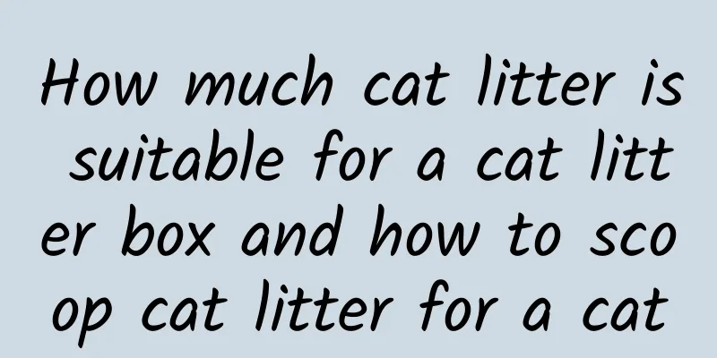 How much cat litter is suitable for a cat litter box and how to scoop cat litter for a cat