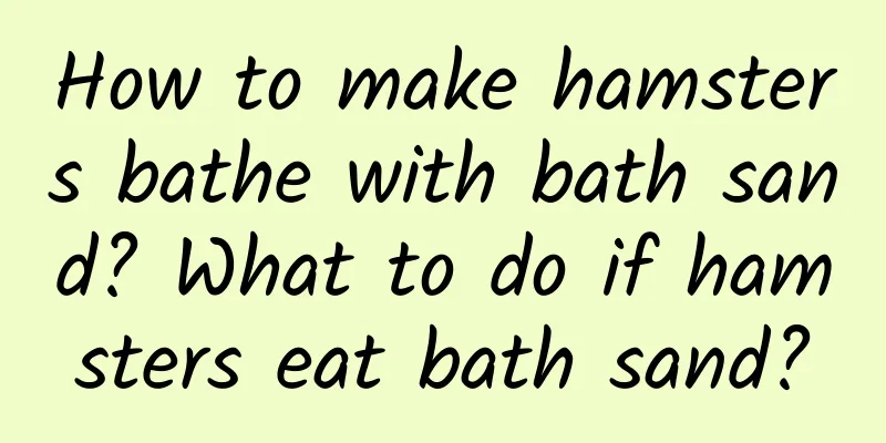 How to make hamsters bathe with bath sand? What to do if hamsters eat bath sand?