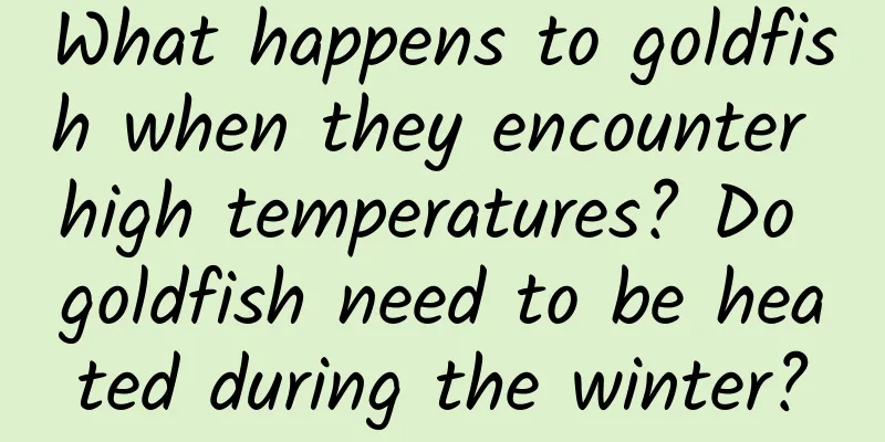 What happens to goldfish when they encounter high temperatures? Do goldfish need to be heated during the winter?