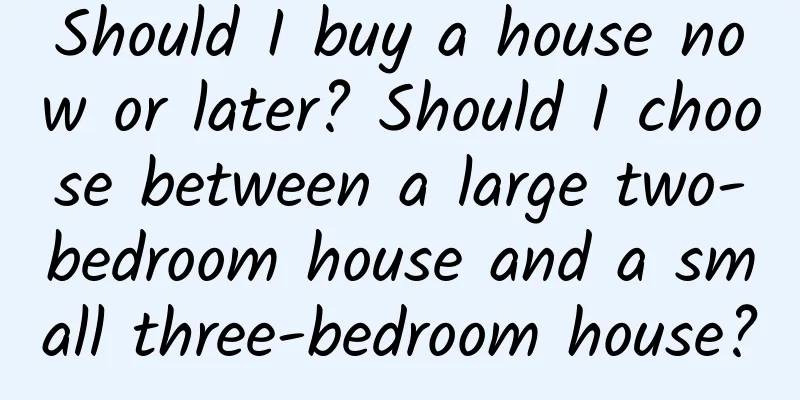 Should I buy a house now or later? Should I choose between a large two-bedroom house and a small three-bedroom house?